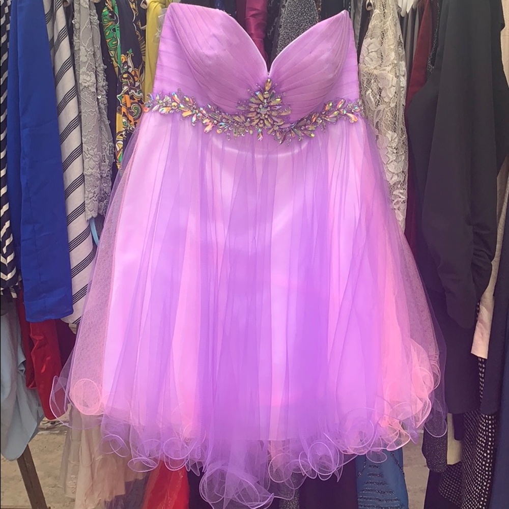 Purple/Pink Strapless Tulle Dress
